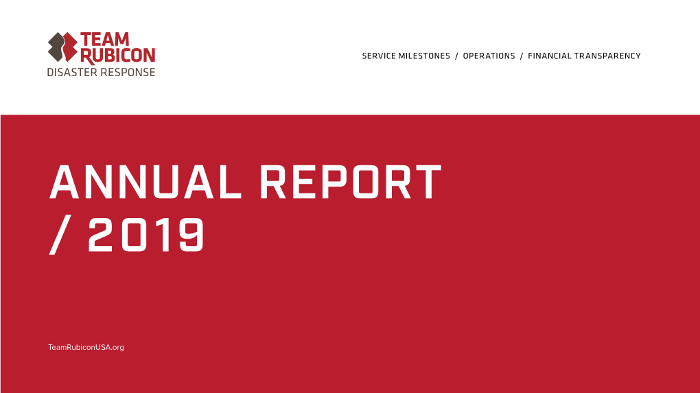 2019 Annual Report Report Guide