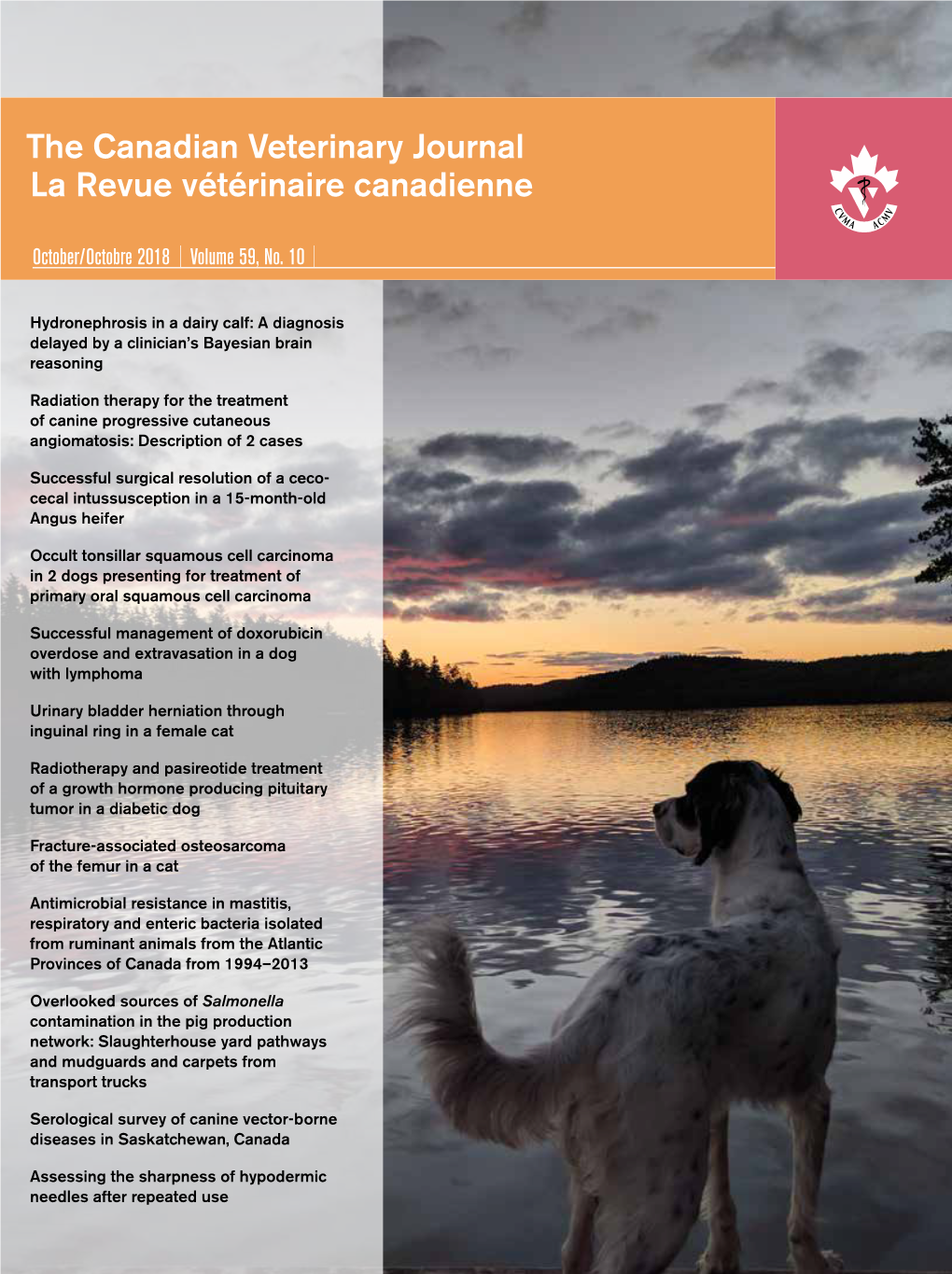 The Canadian Veterinary Journal La Revue Vétérinaire Canadienne Hydronephrosis in a Dairy Calf: a Diagnosis Delayed by a Clinician’S Bayesian Brain Reasoning