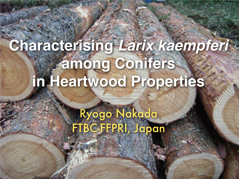 Characterising Larix Kaempferi Among Conifers in Heartwood Properties