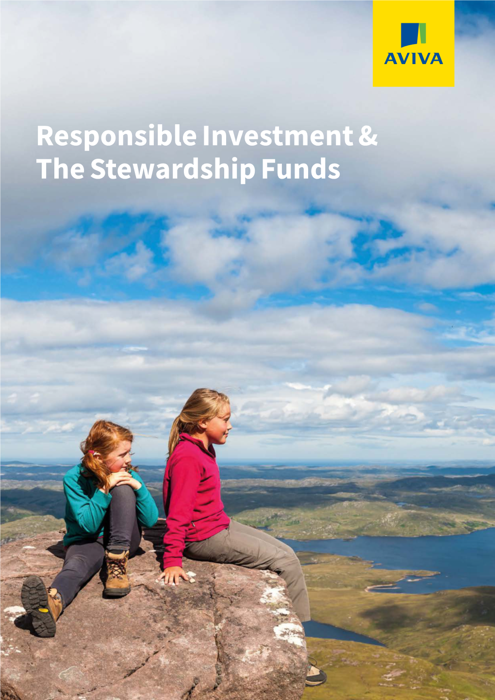 Responsible Investment & the Stewardship