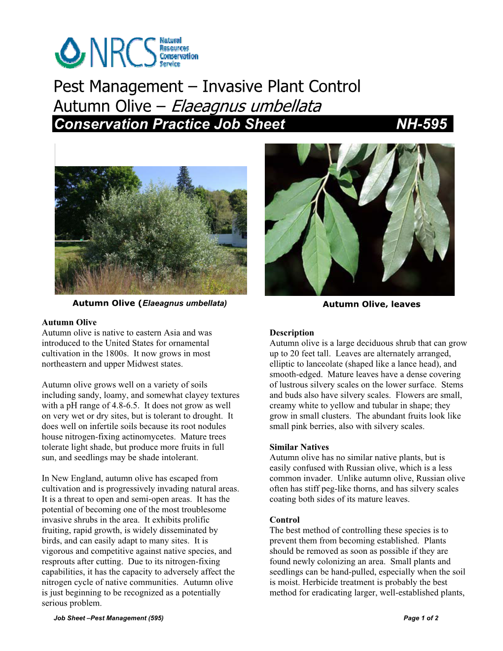 Invasive Plant Control Autumn Olive – Elaeagnus Umbellata Conservation Practice Job Sheet NH-595