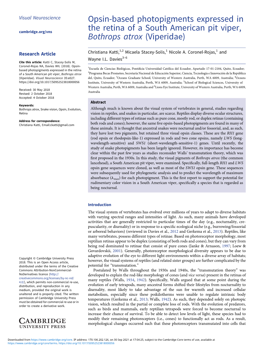 Opsin-Based Photopigments Expressed in the Retina of a South