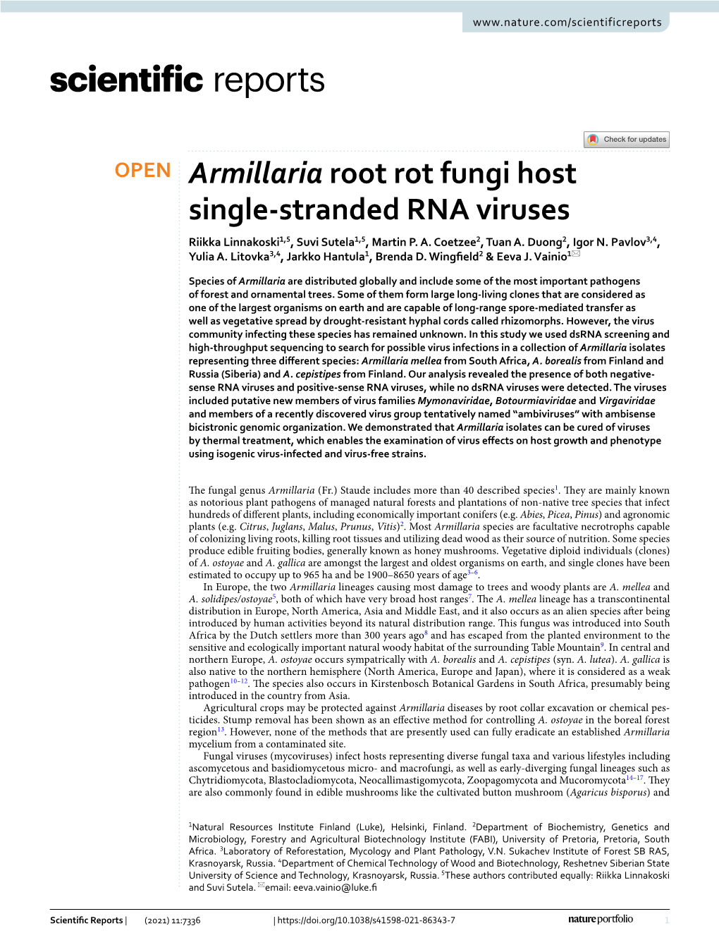 Armillaria Root Rot Fungi Host Single-Stranded RNA Viruses