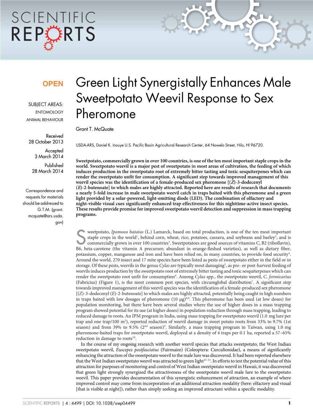 Green Light Synergistally Enhances Male Sweetpotato Weevil
