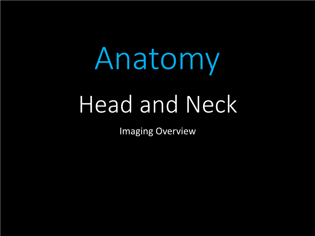 Head and Neck Anatomy