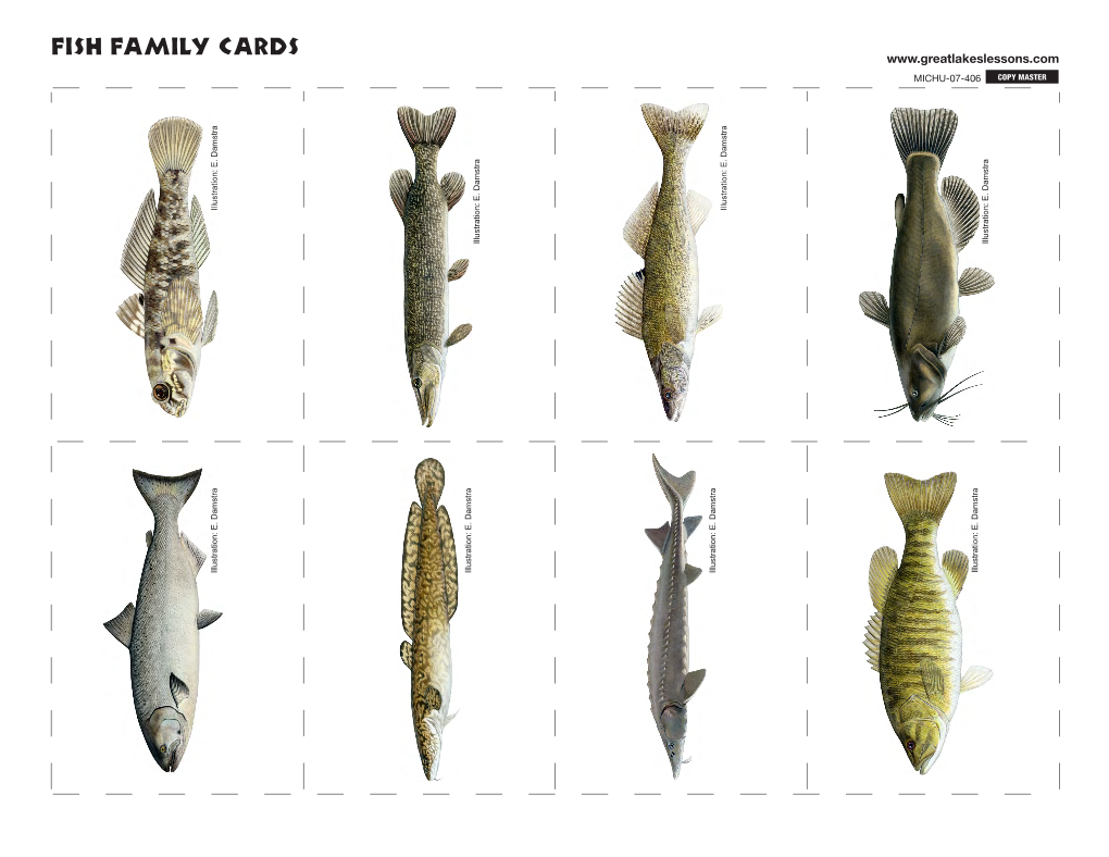 Fish Characteristics Fact Sheet, Great Lakes Fish Family Cards and Generic