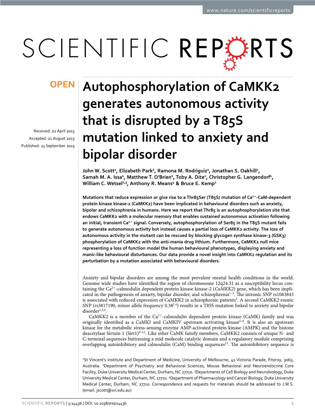 Autophosphorylation of Camkk2 Generates Autonomous Activity That