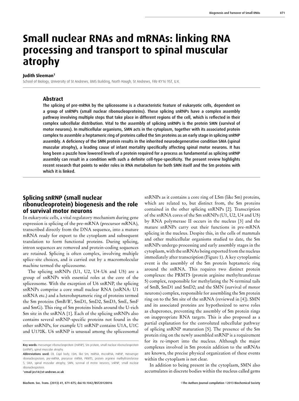 Small Nuclear Rnas and Mrnas: Linking RNA Processing and Transport to Spinal Muscular Atrophy