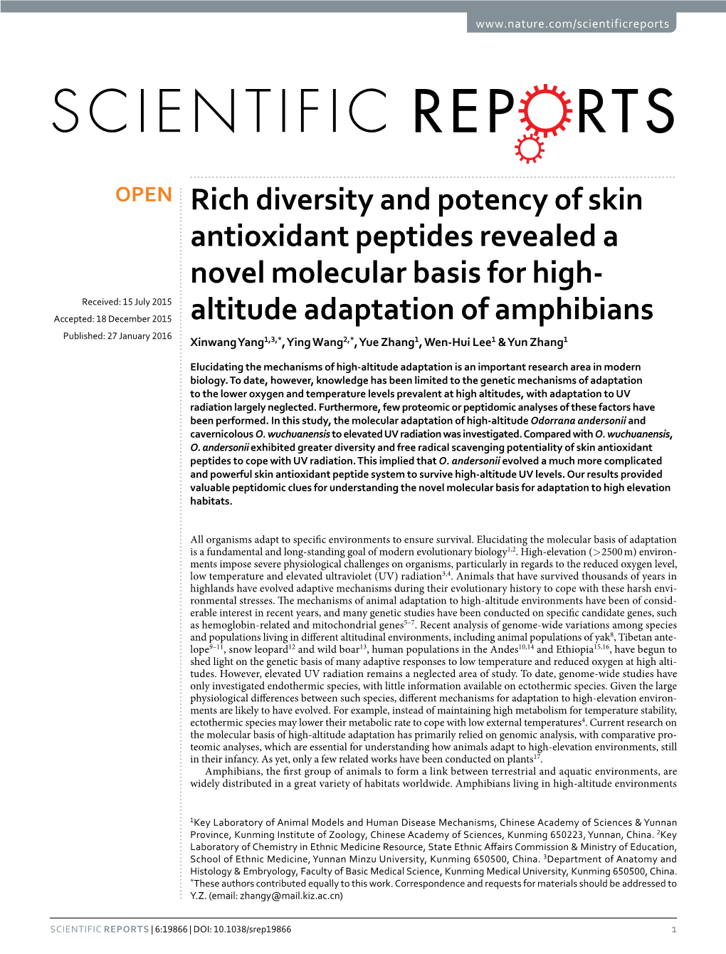 Rich Diversity and Potency of Skin Antioxidant Peptides Revealed A