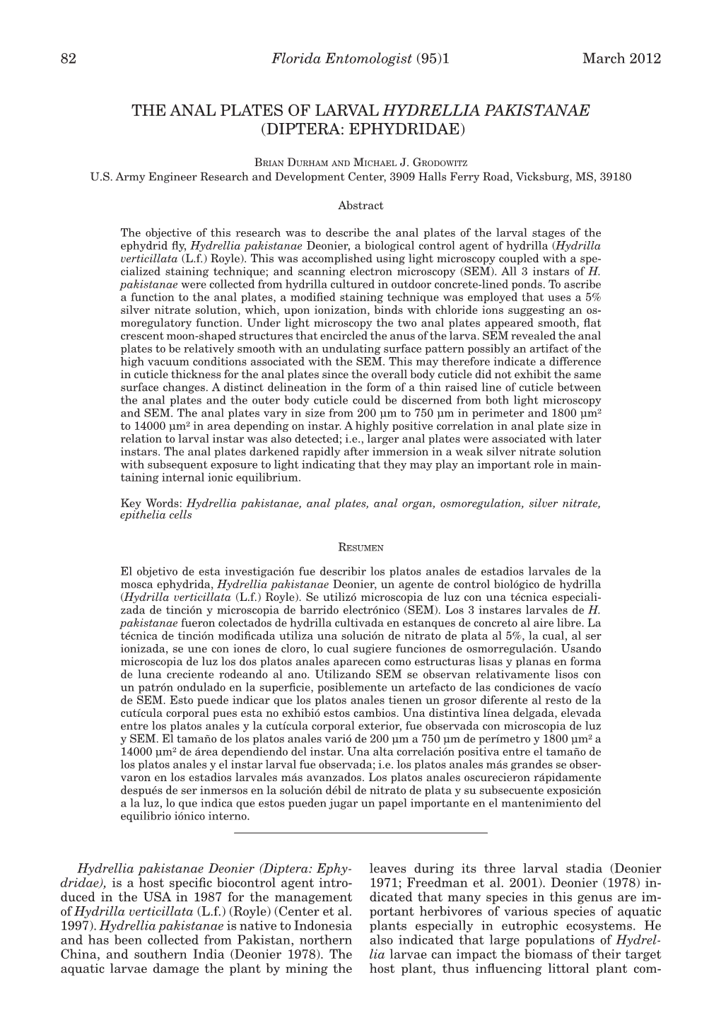 The Anal Plates of Larval Hydrellia Pakistanae (Diptera: Ephydridae)