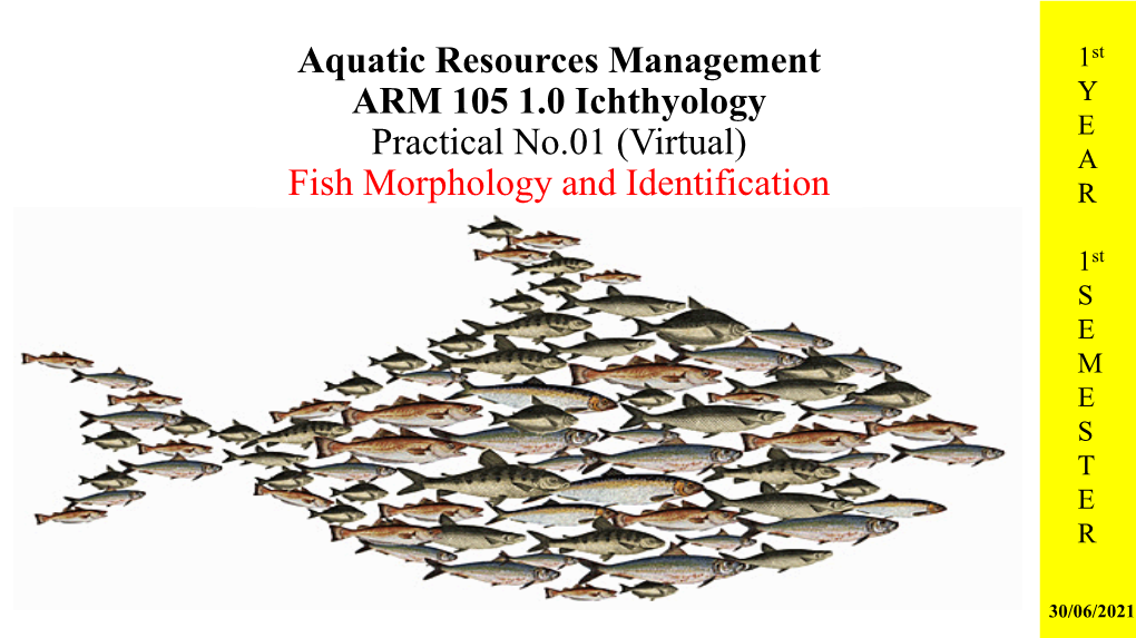 Aquatic Resources Management ARM 105 1.0 Ichthyology Practical No