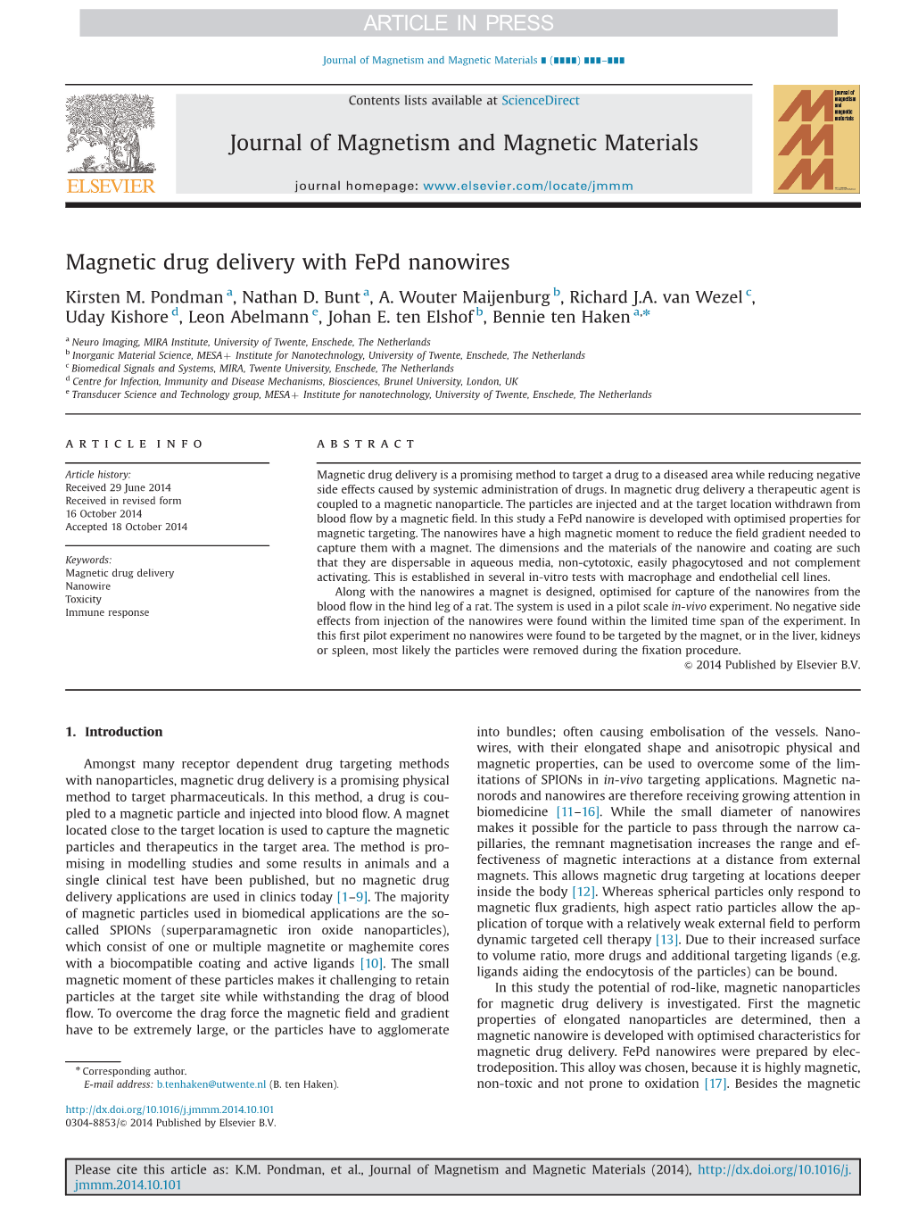 Magnetic Drug Delivery with Fepd Nanowires