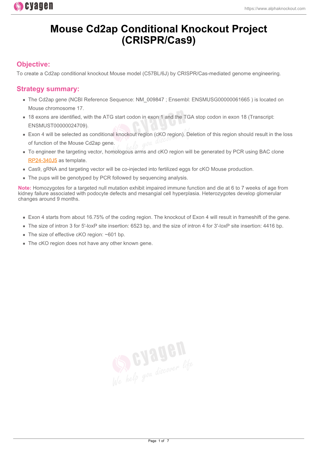 Mouse Cd2ap Conditional Knockout Project (CRISPR/Cas9)