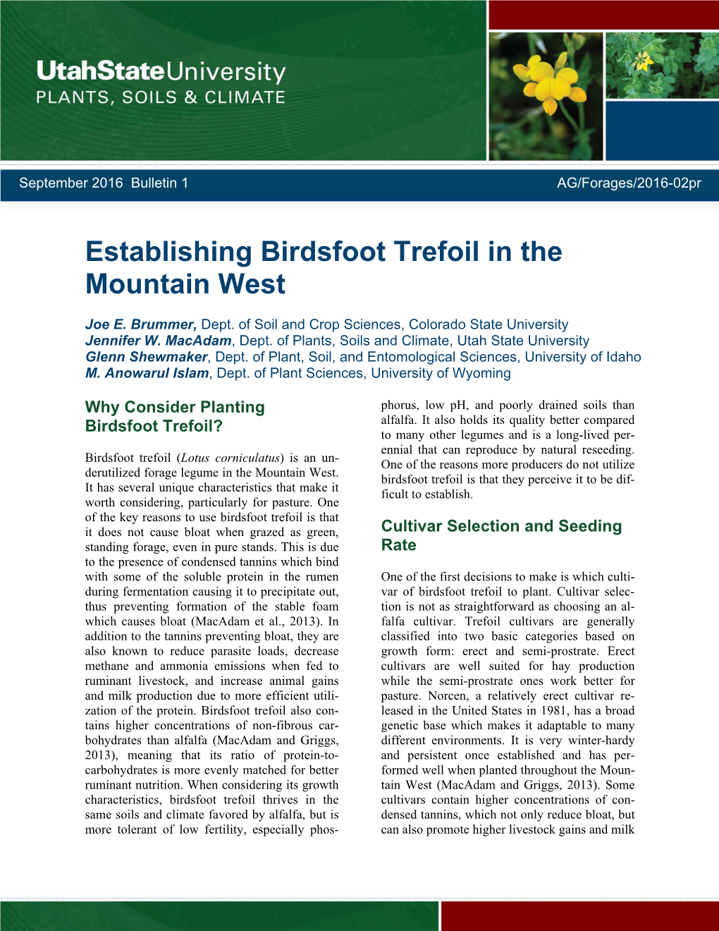 Establishing Birdsfoot Trefoil in the Mountain West