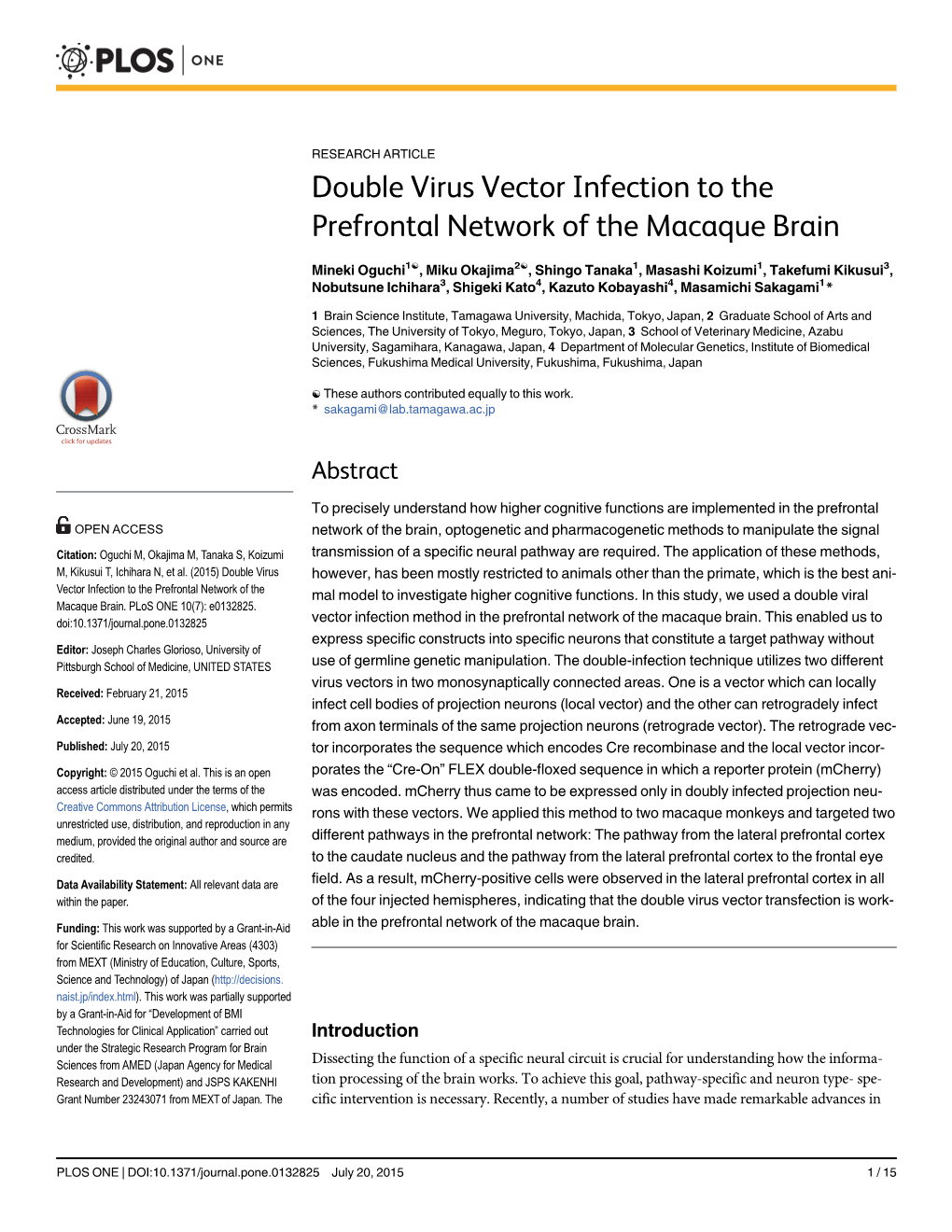 Double Virus Vector Infection to the Prefrontal Network of the Macaque Brain