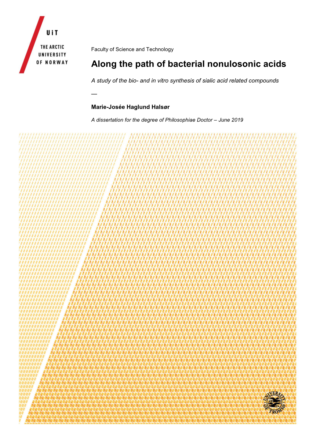 Along the Path of Bacterial Nonulosonic Acids