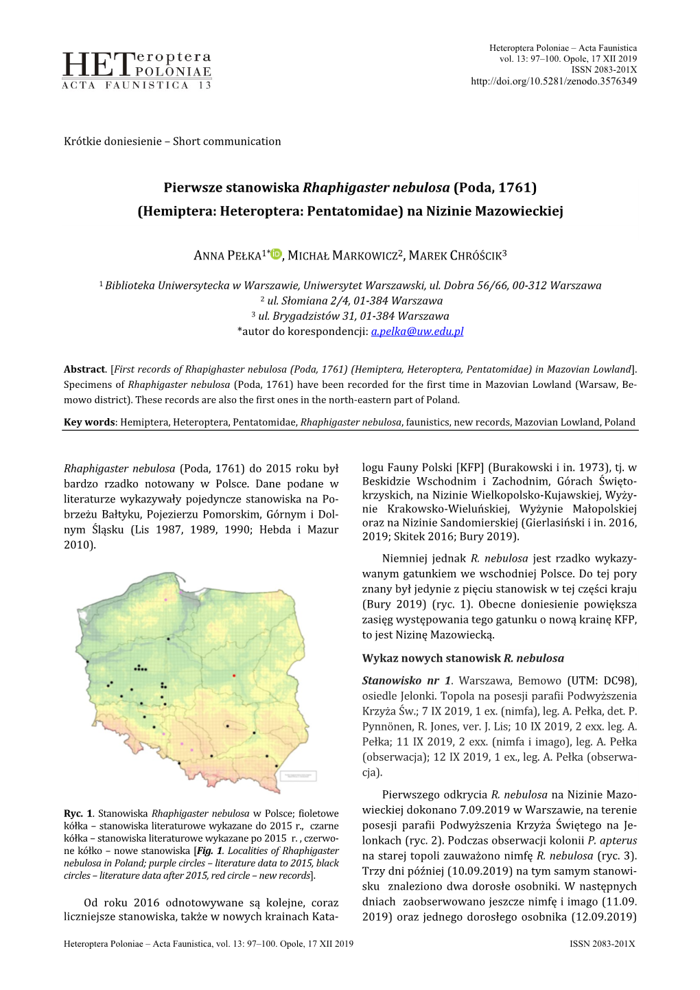 Pierwsze Stanowisko Rhaphigaster Nebulosa Na Nizinie Mazowkieckiej