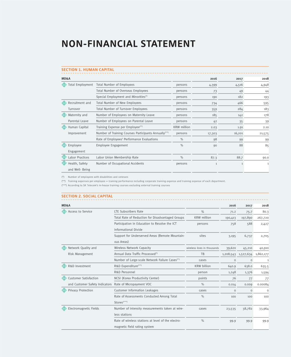 Non-Financial Statement