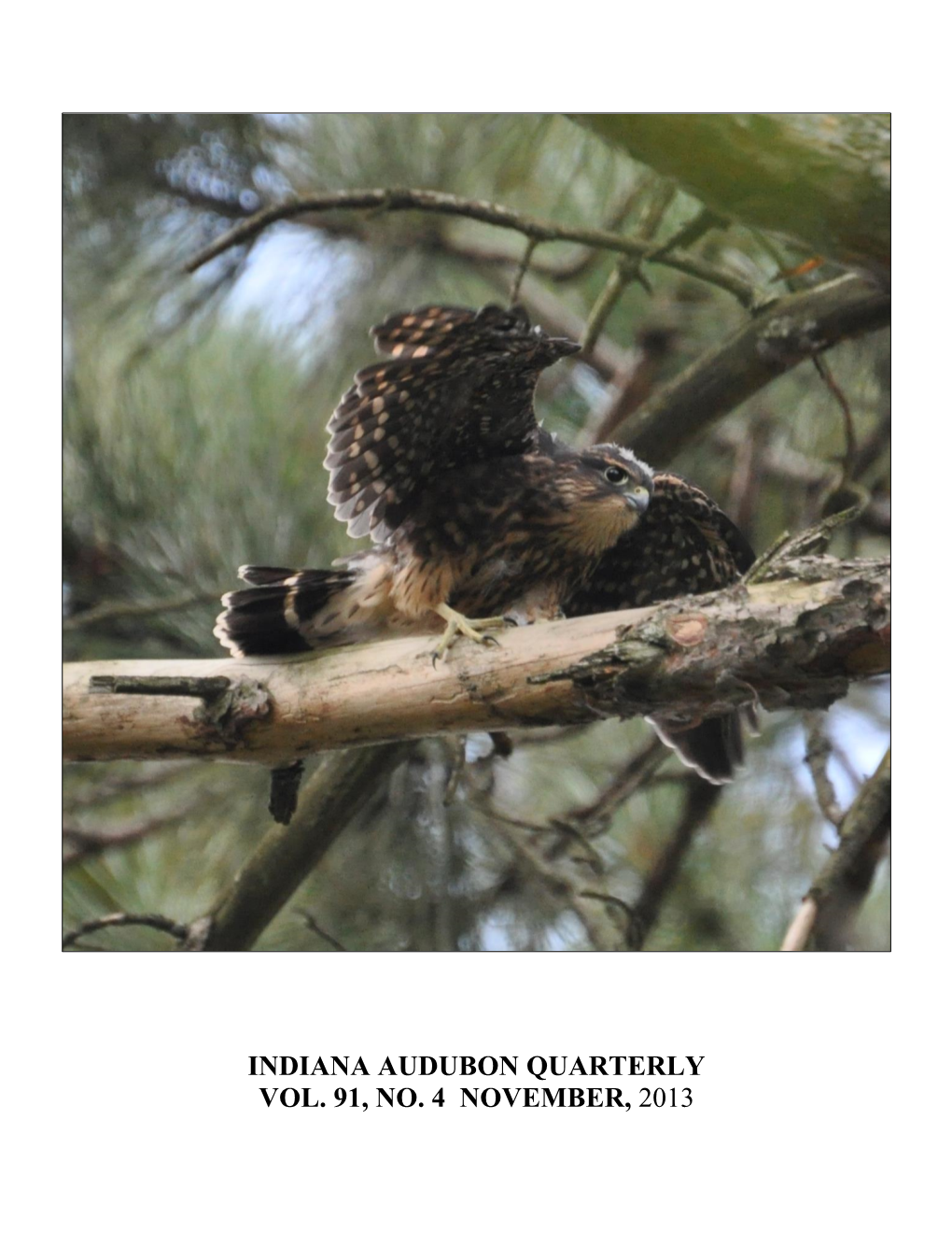 INDIANA AUDUBON QUARTERLY VOL. 91, NO. 4 NOVEMBER, 2013 INDIANA AUDUBON SOCIETY, Inc