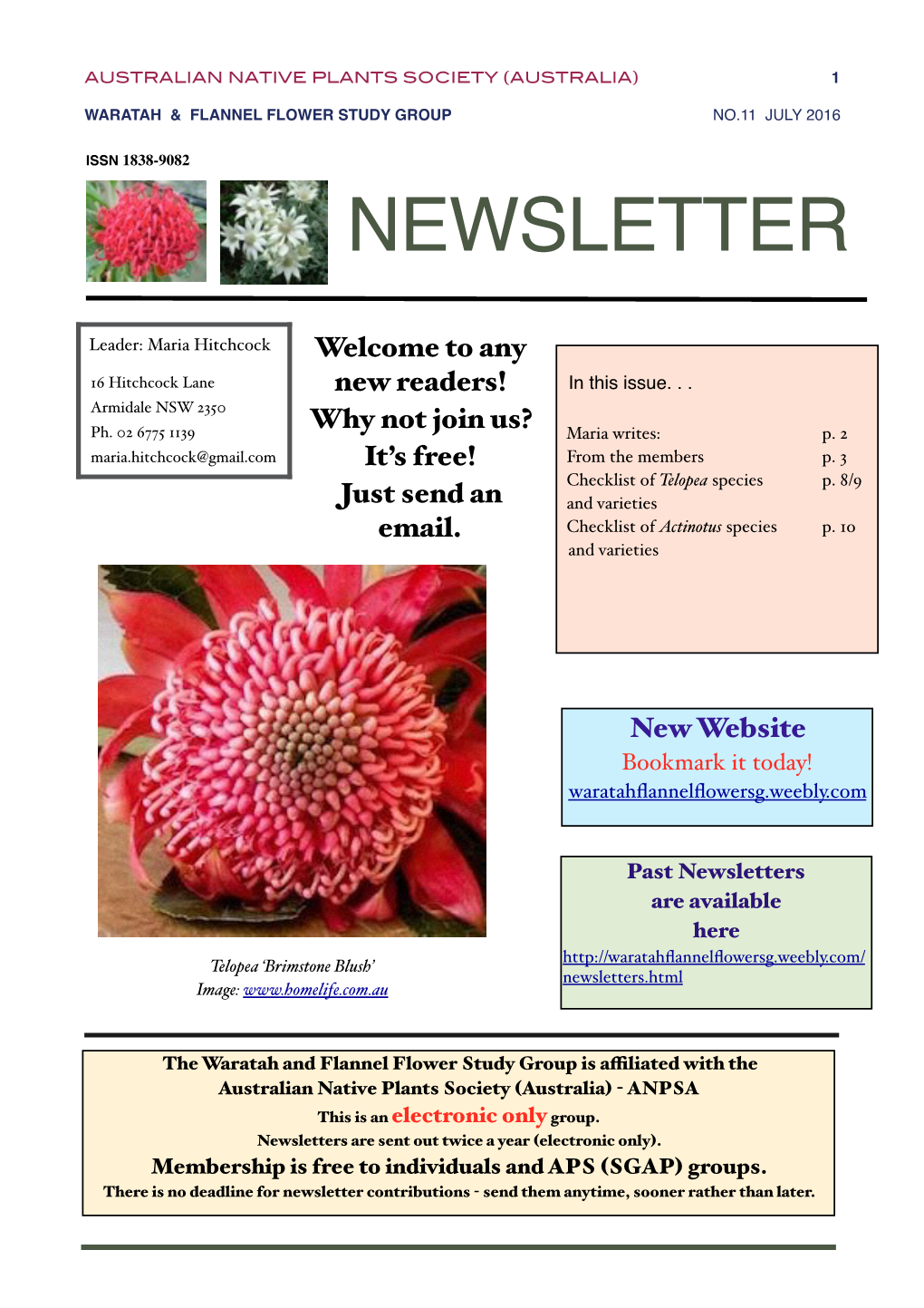 Newsletter No.11