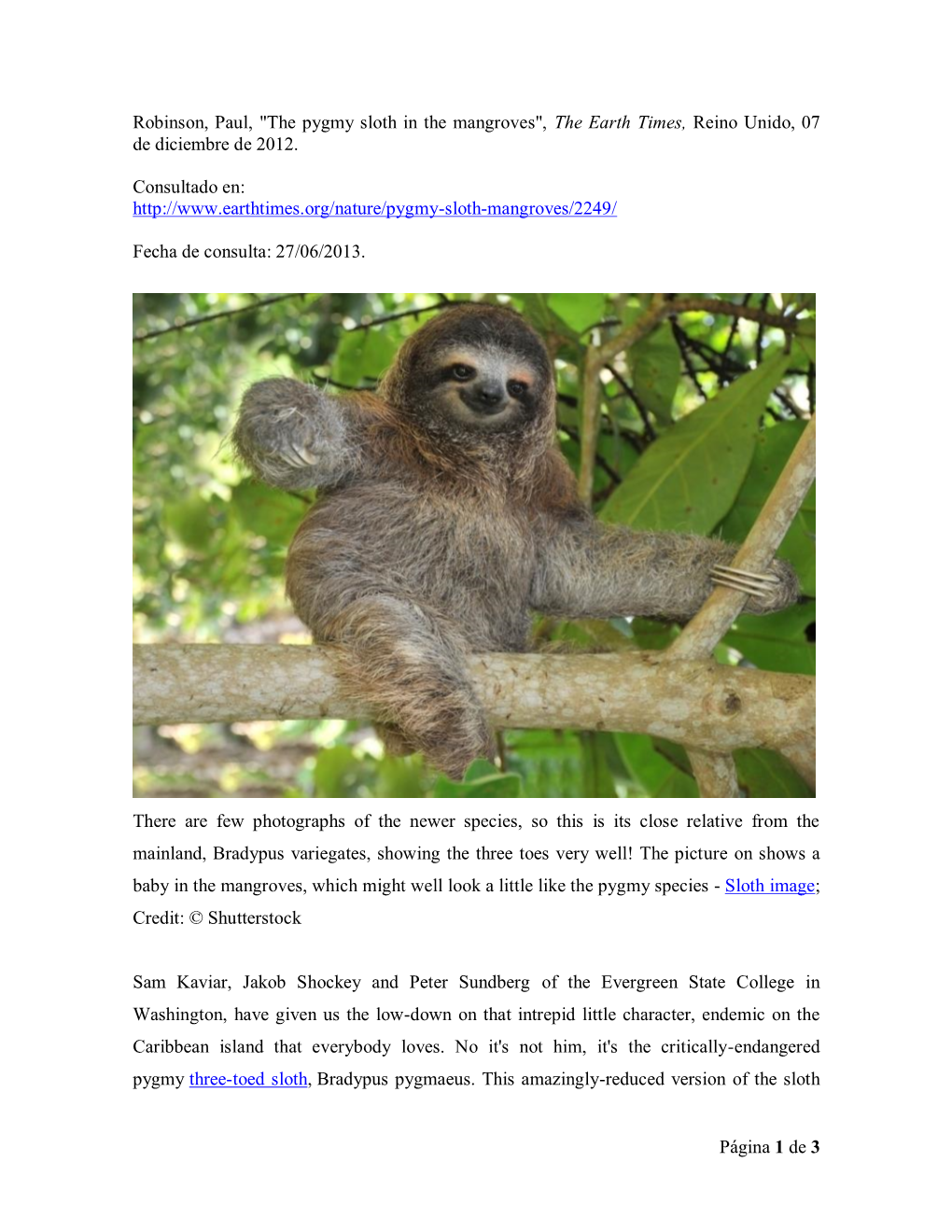 The Pygmy Sloth in the Mangroves