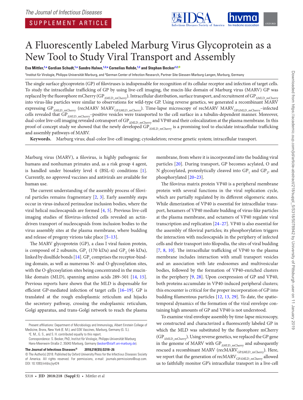 A Fluorescently Labeled Marburg Virus Glycoprotein As a New Tool to Study Viral Transport and Assembly