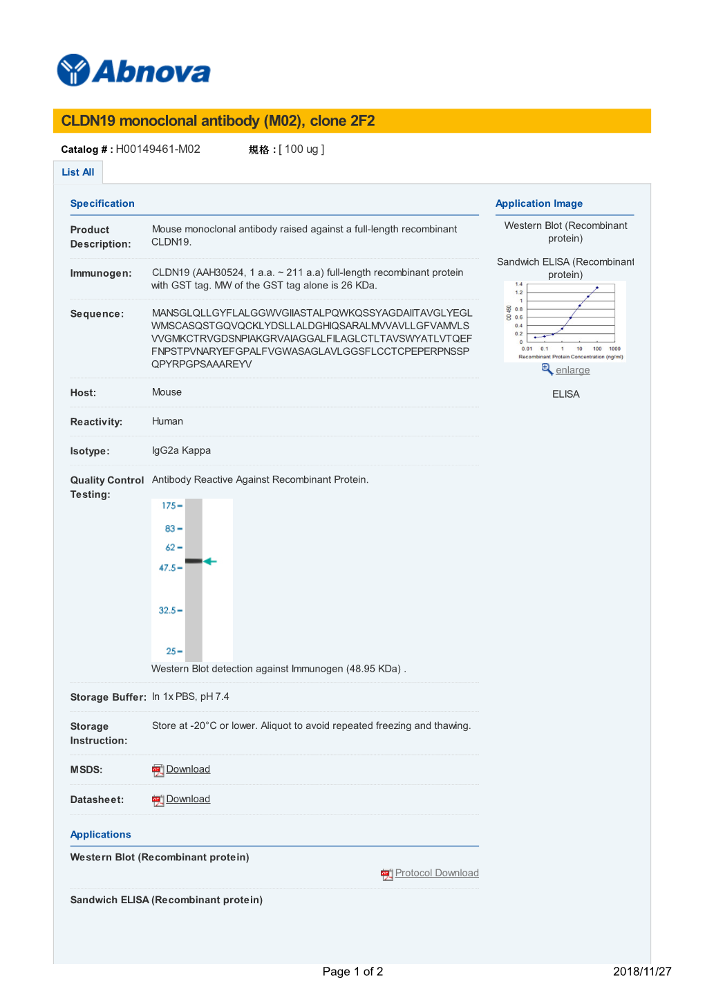 CLDN19 Monoclonal Antibody (M02), Clone 2F2