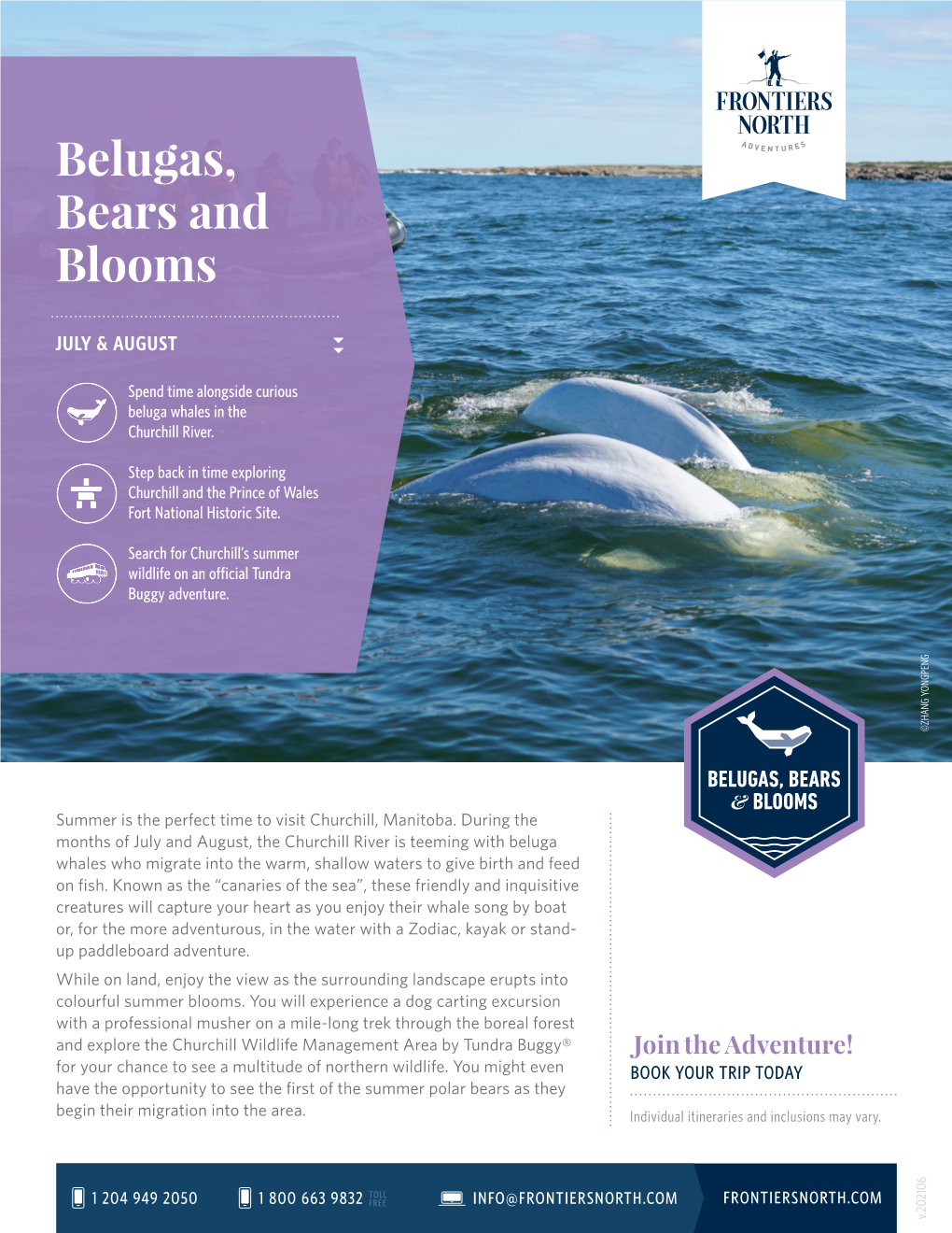 Belugas, Bears and Blooms