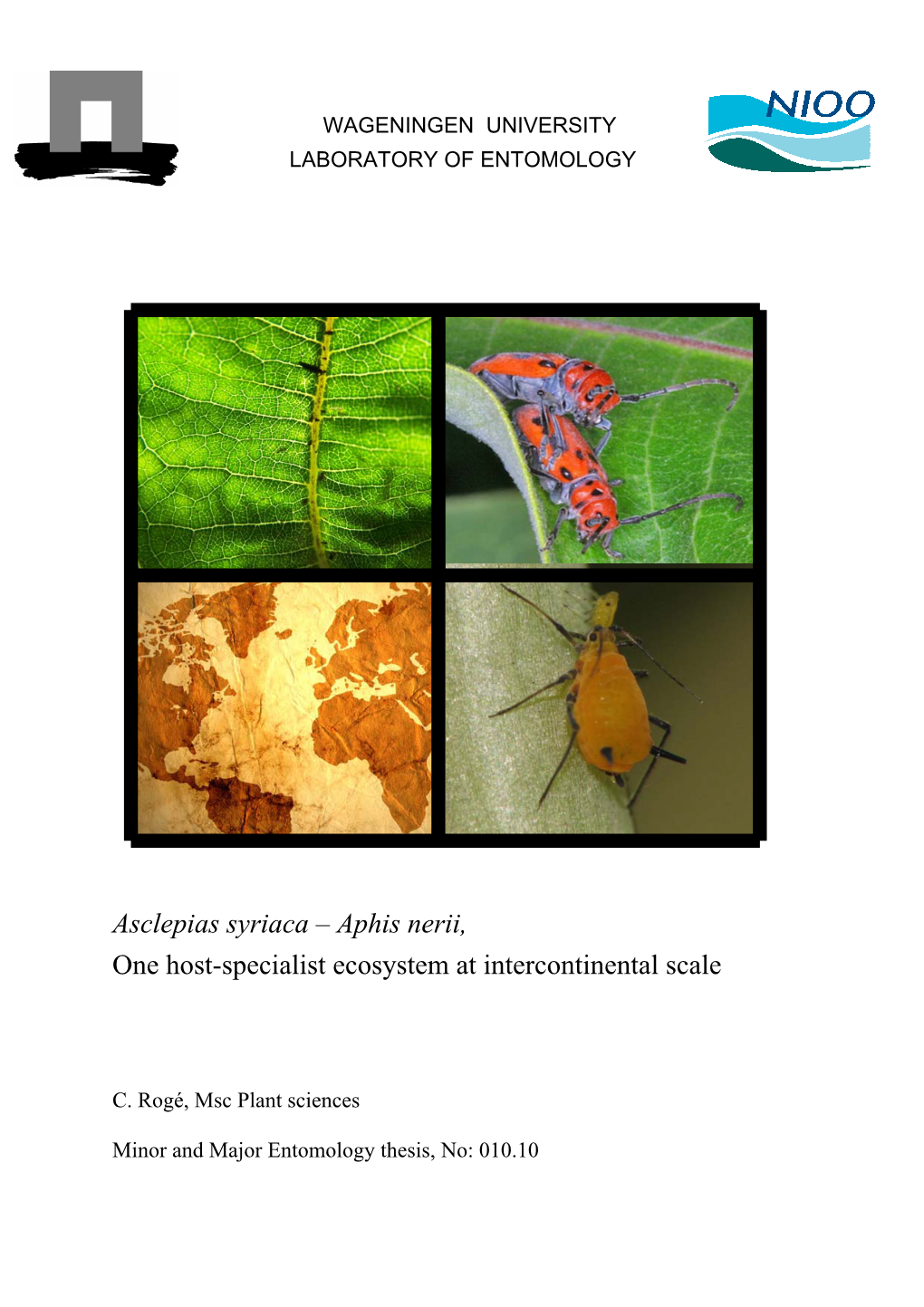 Aphis Nerii, One Host-Specialist Ecosystem at Intercontinental Scale