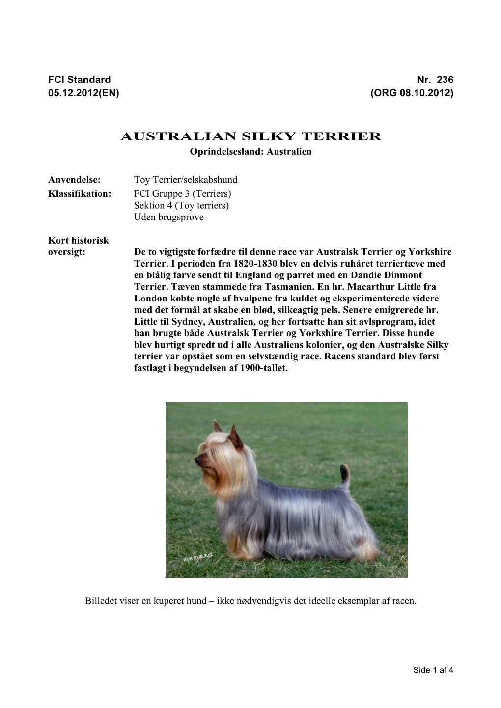 AUSTRALIAN SILKY TERRIER Oprindelsesland: Australien