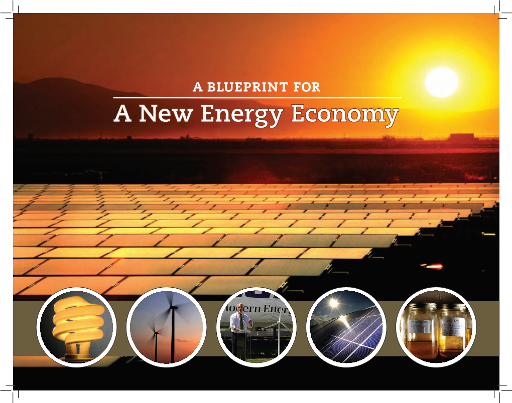 A New Energy Economy