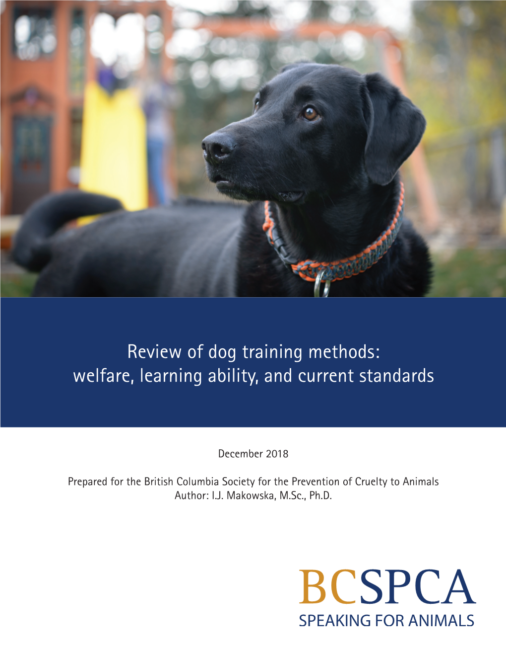 Review of Dog Training Methods: Welfare, Learning Ability, and Current Standards