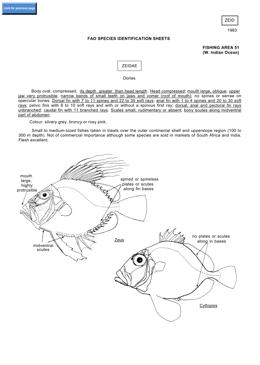 Zeid 1983 Fao Species Identification Sheets