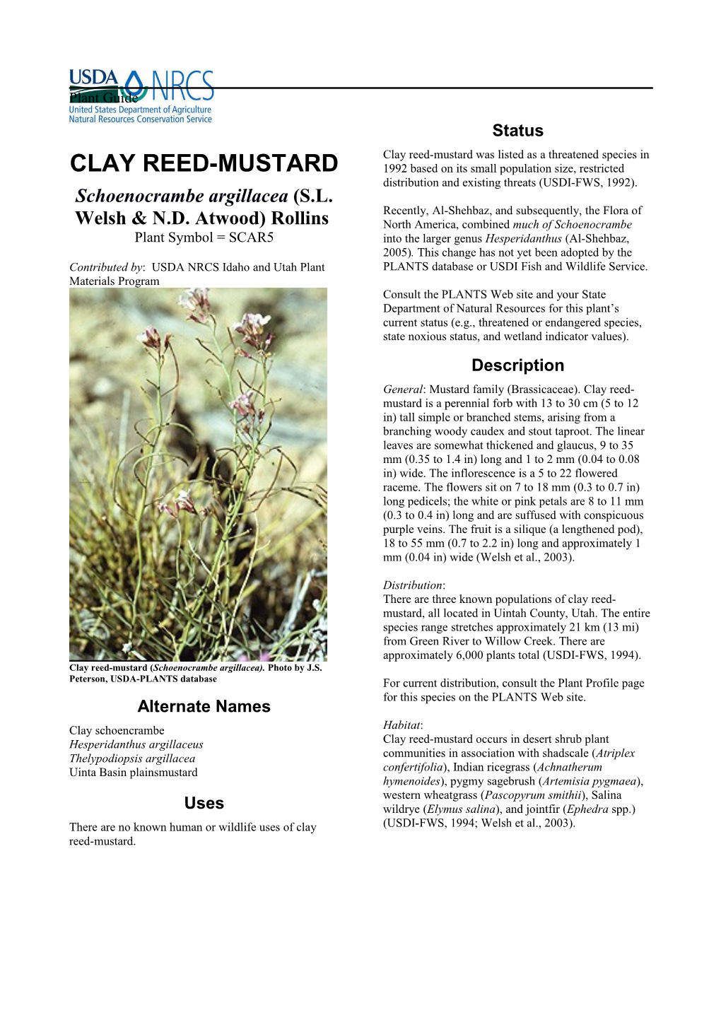 Plant Guide for Clay Reed-Mustard (Schoenocrambe Argillacea)