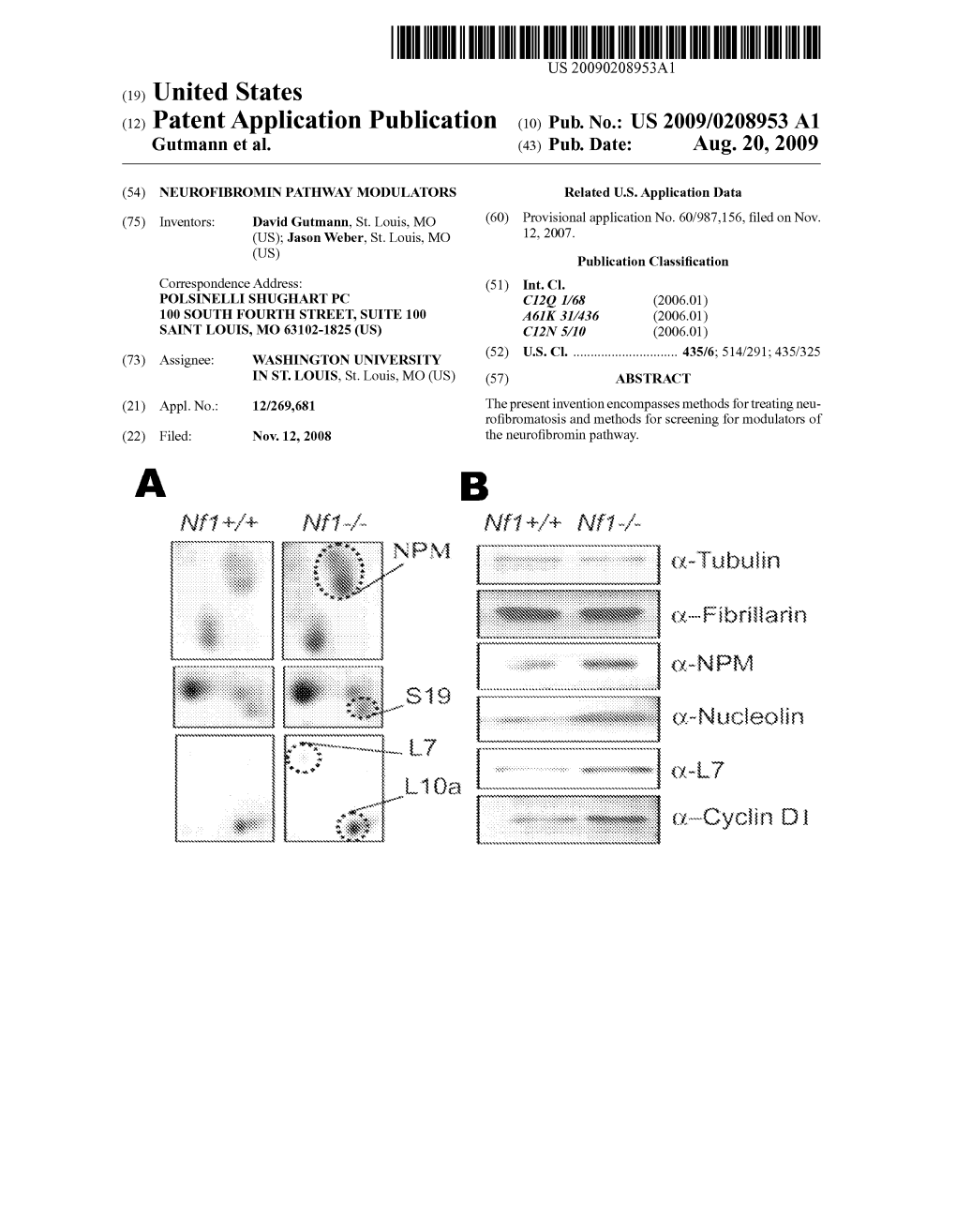 (12) Patent Application Publication (10) Pub. No.: US 2009/0208953 A1 Gutmann Et Al