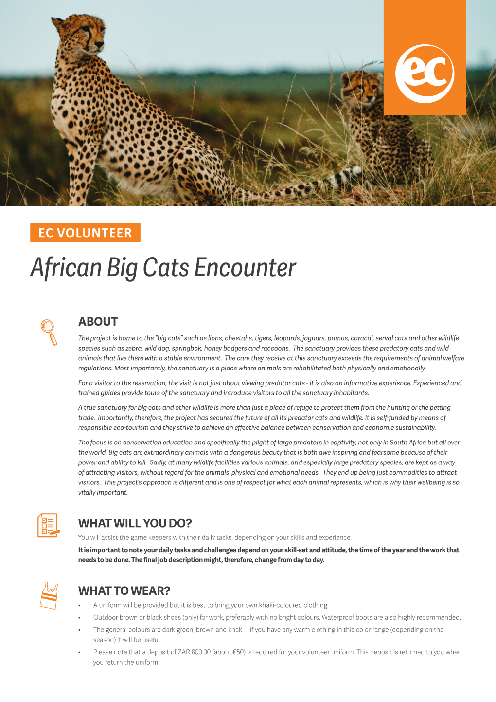 African Big Cats Encounter