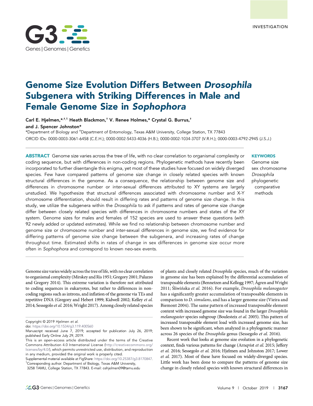 Genome Size Evolution Differs Between Drosophila Subgenera with Striking Differences in Male and Female Genome Size in Sophophora