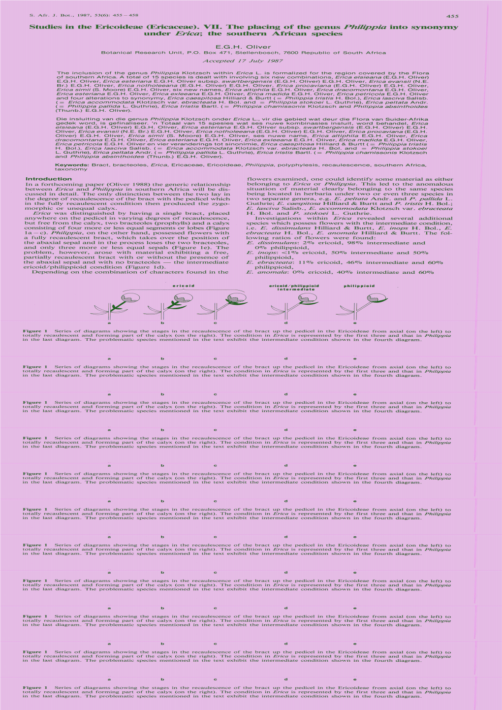 Studies in the Ericoideae (Ericaceae)