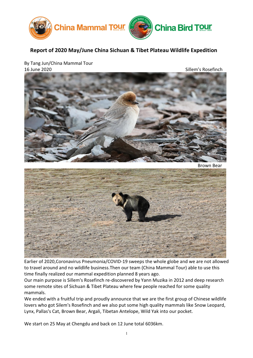 Report of 2020 May/June China Sichuan & Tibet Plateau Wildlife Expedition