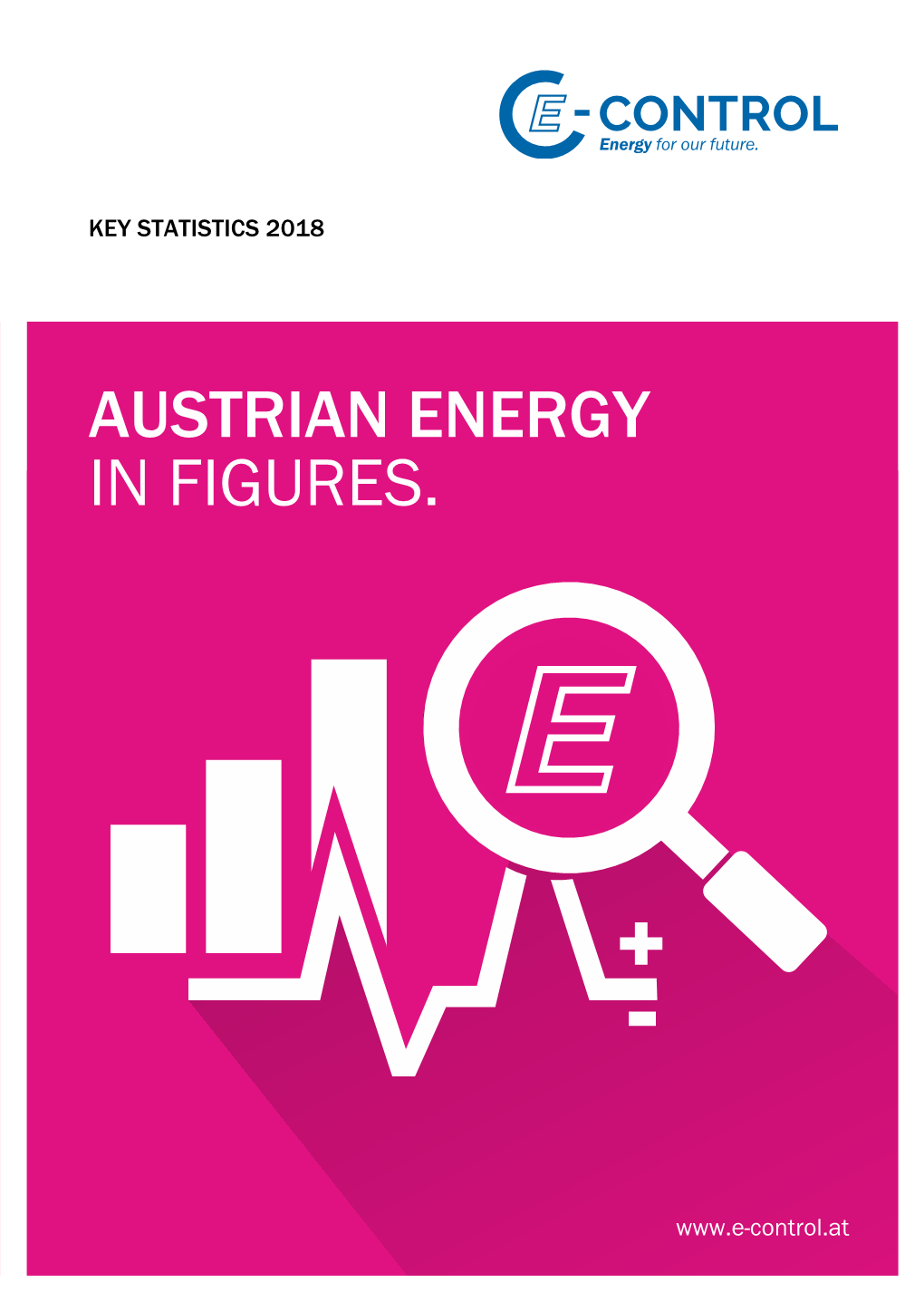 Austrian Energy in Figures