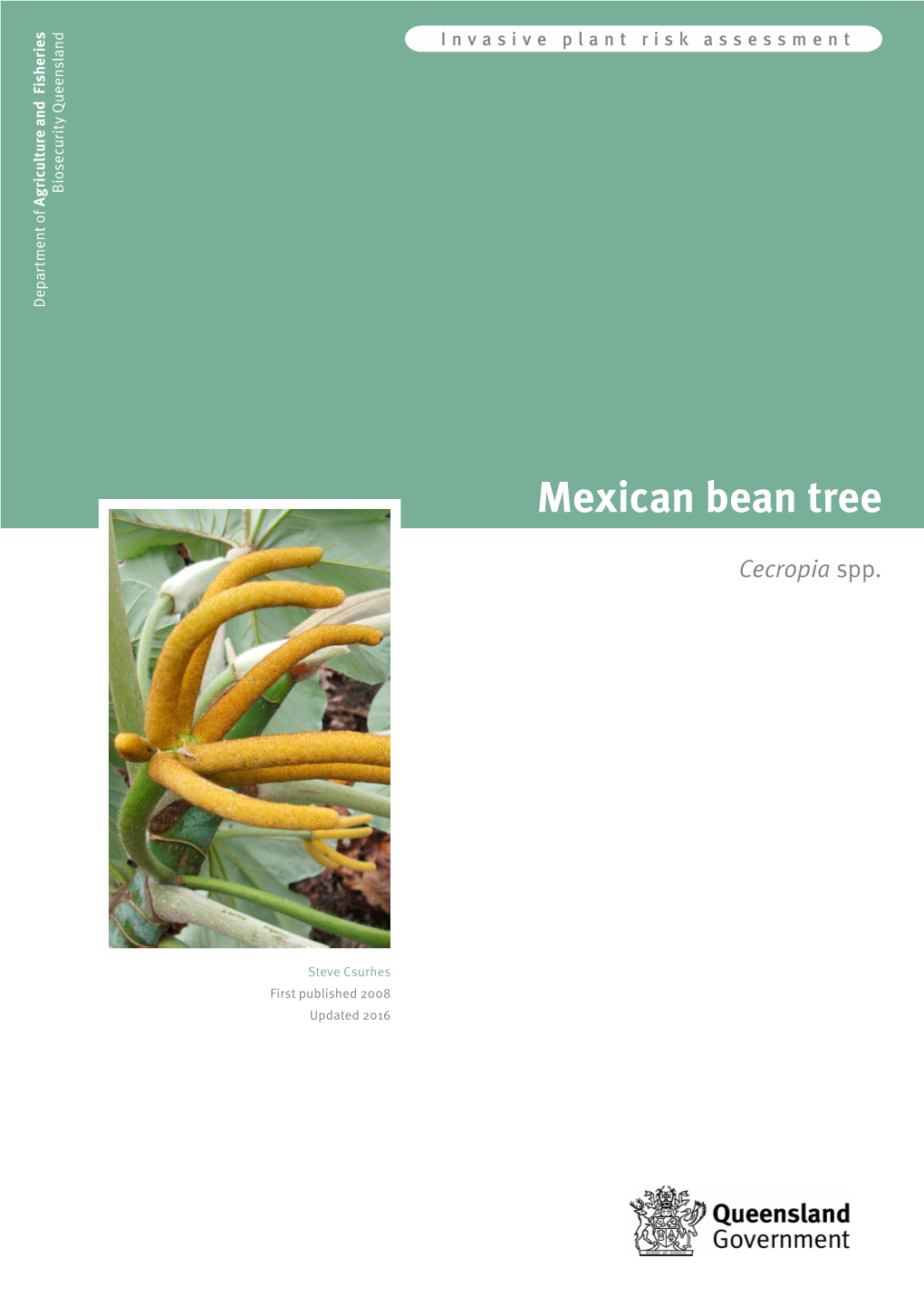 Mexican Bean Tree Risk Assessment