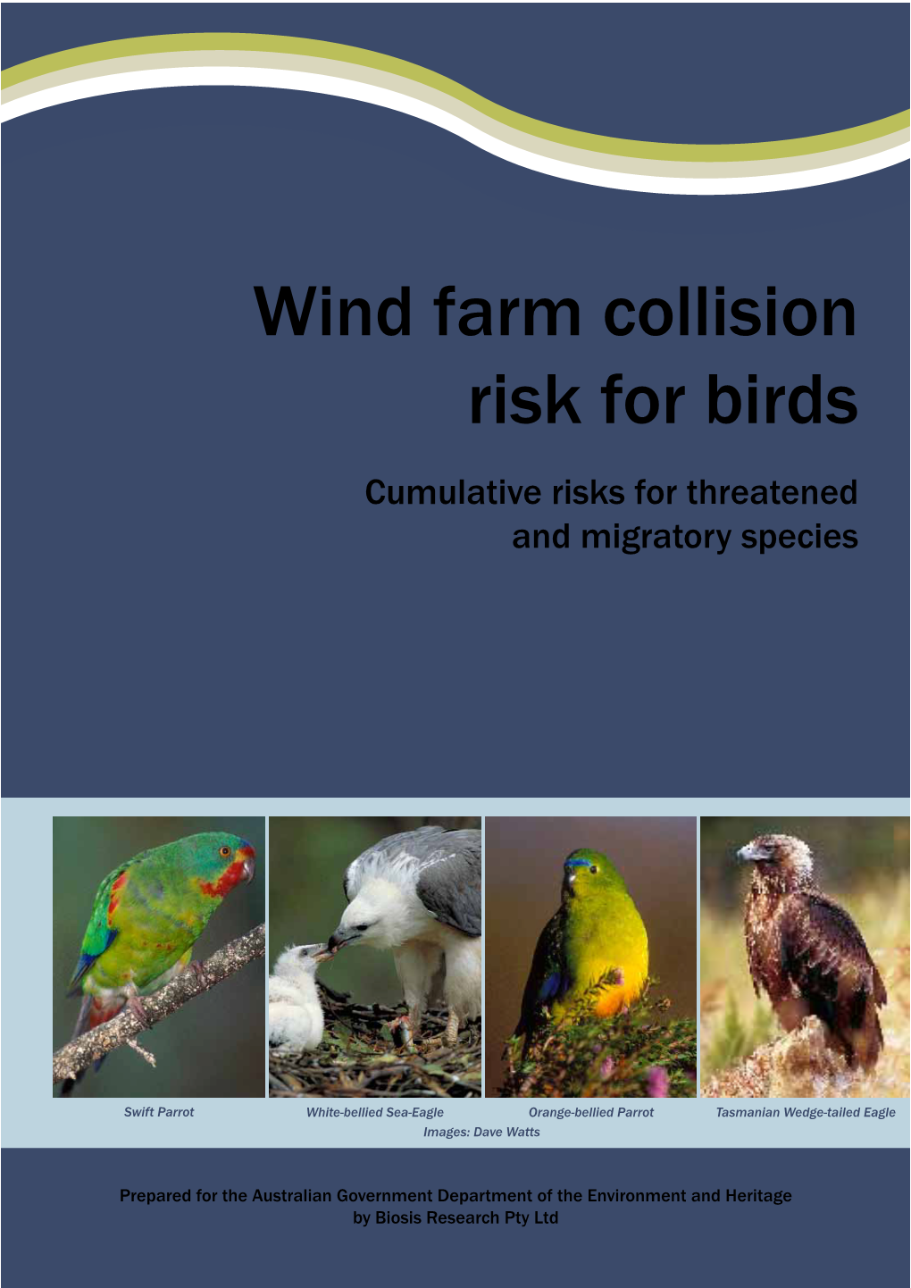 Wind Farm Collision Risk for Birds