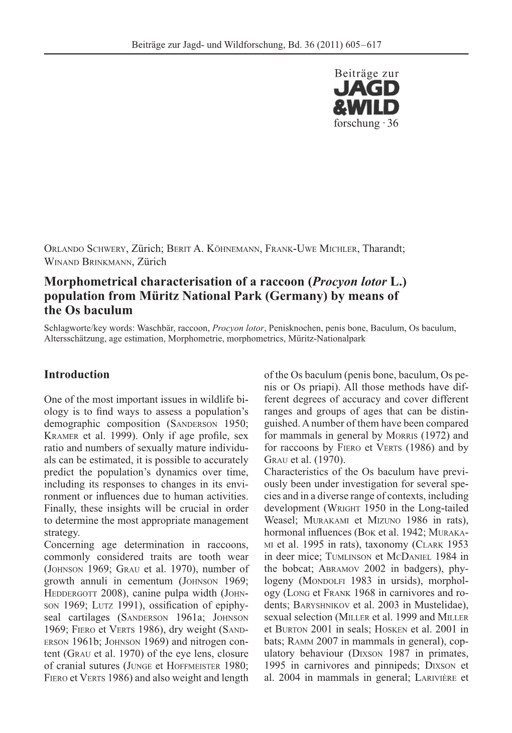 Morphometrical Characterisation of a Raccoon (Procyon Lotor