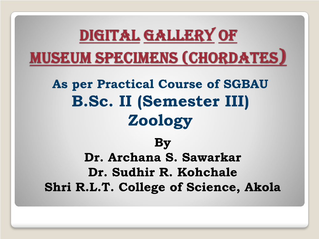 DIGITAL Gallery of MUSEUM SPECIMENS (CHORDATES) B.Sc