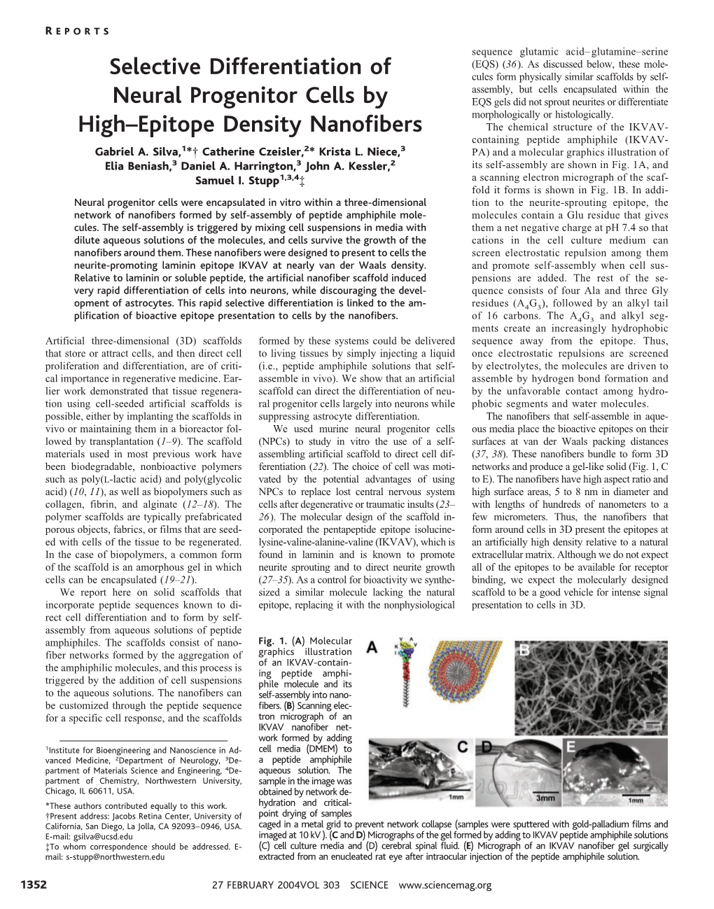 Selective Differentiation of Neural Progenitor Cells by High–Epitope