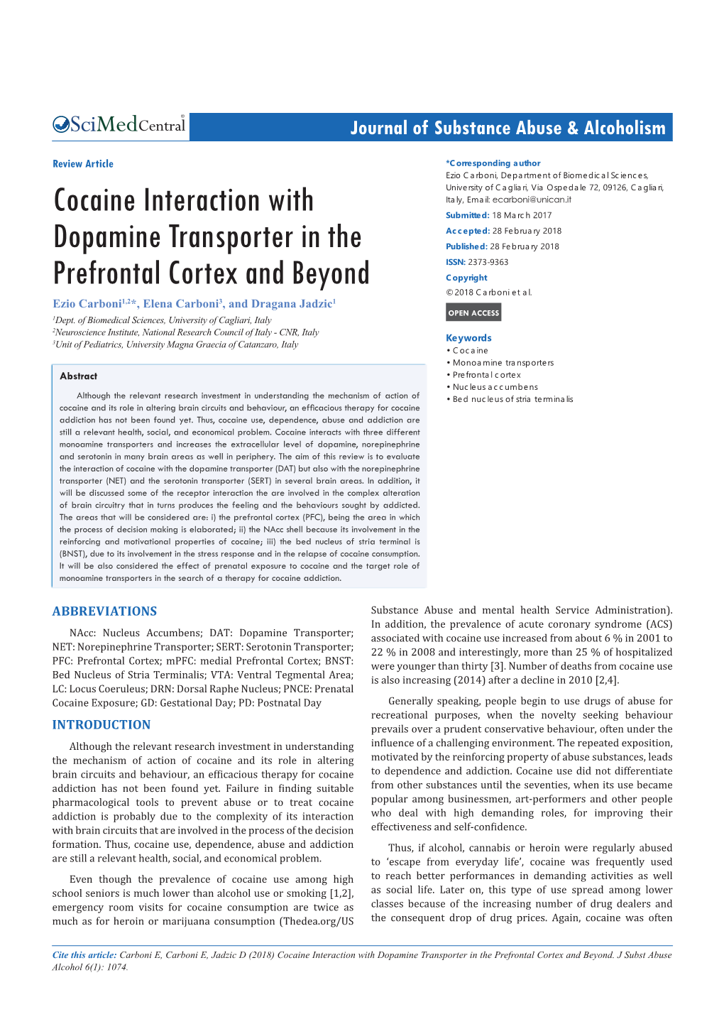 Cocaine Interaction with Dopamine Transporter in the Prefrontal Cortex and Beyond