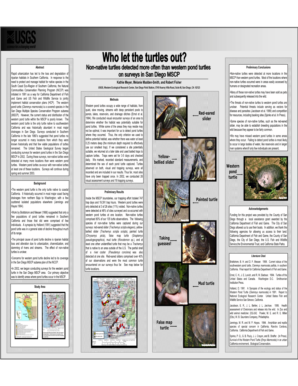 False Map Turtle Western Pond Turtle Mud Turtle Taking Guesses! Yellow