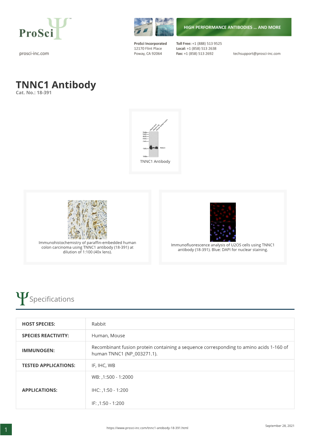 TNNC1 Antibody Cat