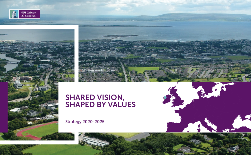 Shared Vision, Shaped by Values