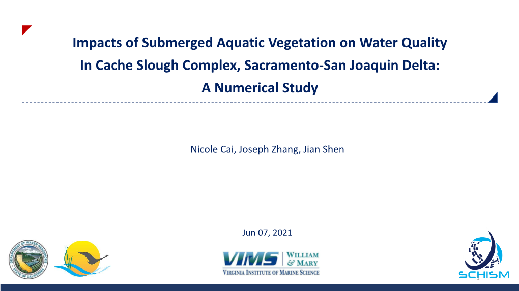 SAV Nutrient Cycling – Nicole Cai, VIMS